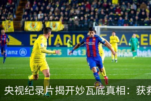 央视纪录片揭开妙瓦底真相：获救者几乎清一色是男性，而女性一旦被卖进园区，能活着回来的几乎为零