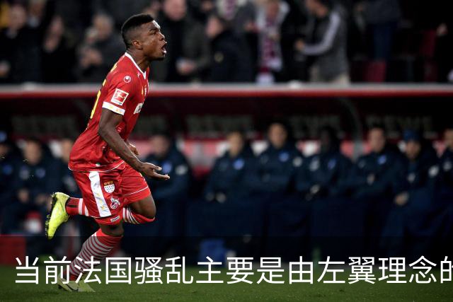 当前法国骚乱主要是由左翼理念的“过犹不及”造成